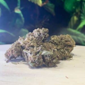Small Buds Revolution